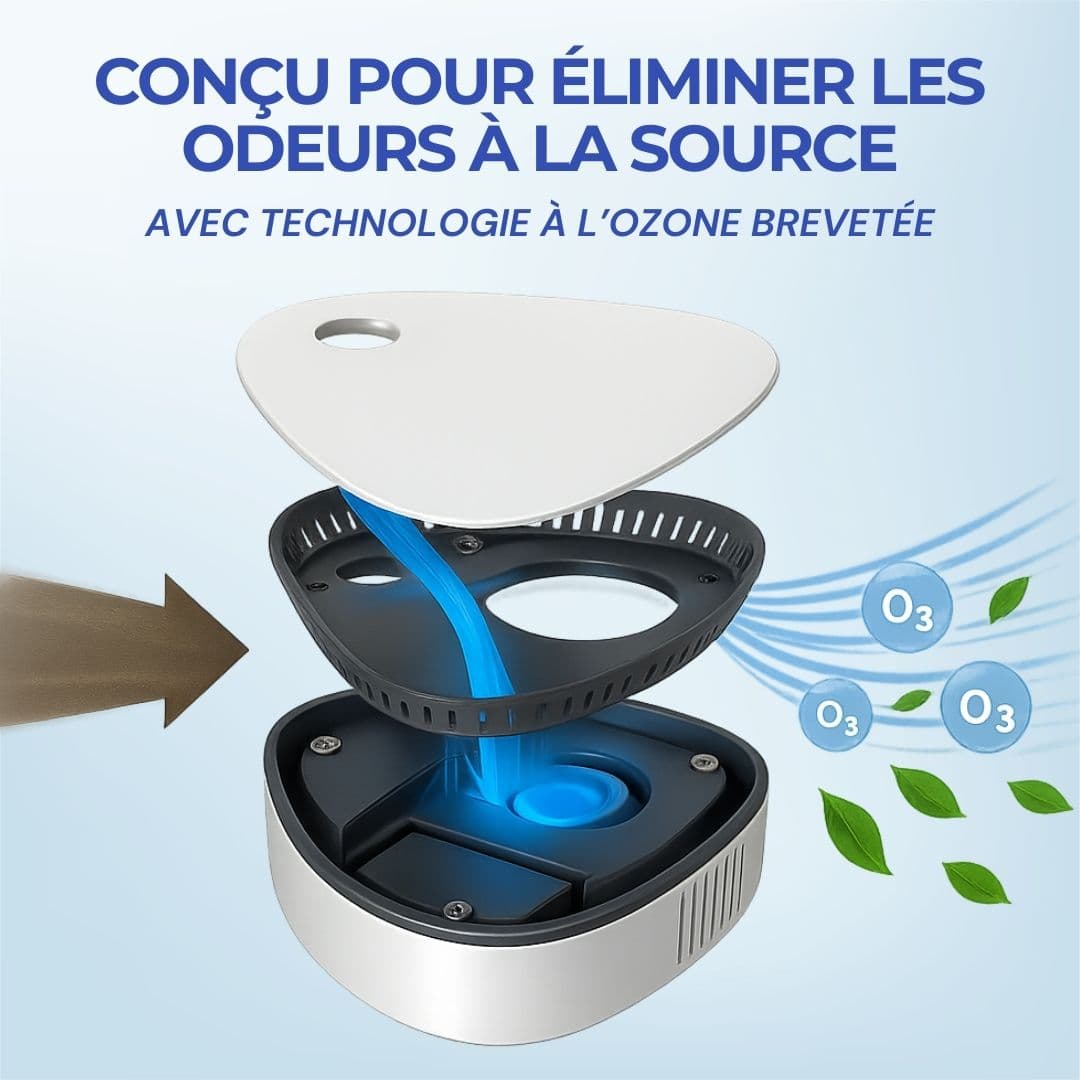 Odeurix | Élimine les odeurs de fumée, d’animaux et de cuisine en un clic