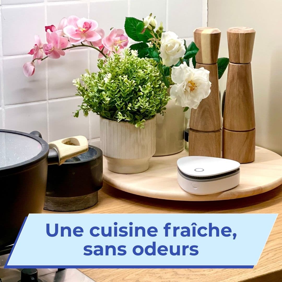 Odeurix | Élimine les odeurs de fumée, d’animaux et de cuisine en un clic